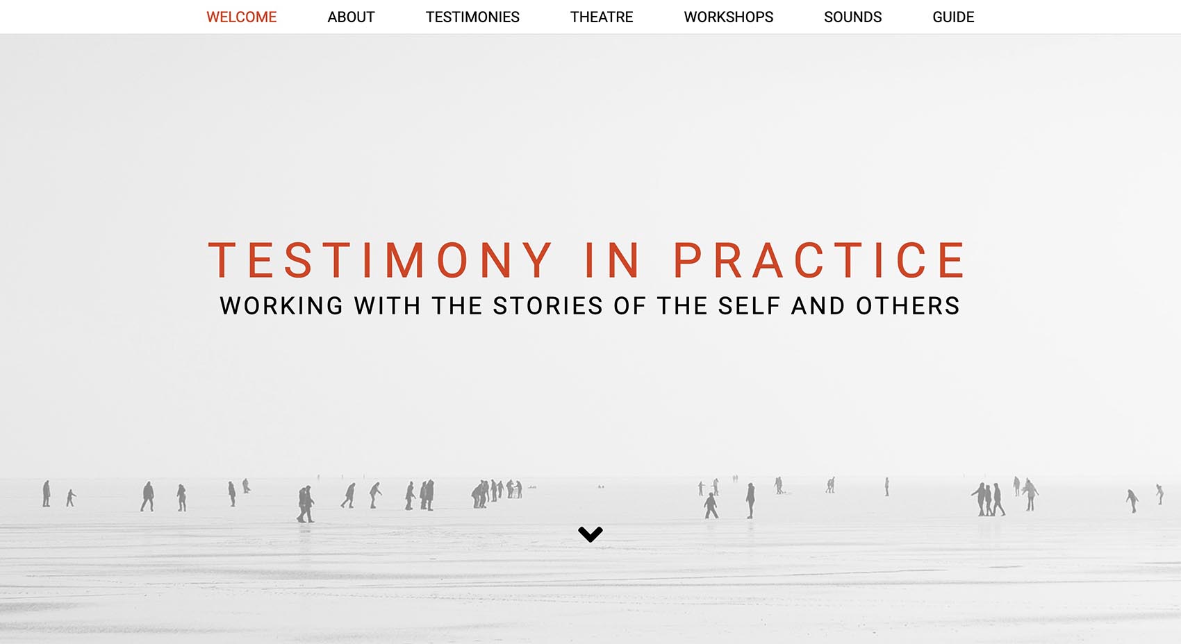 Screenshot of website: Testimony in Practice